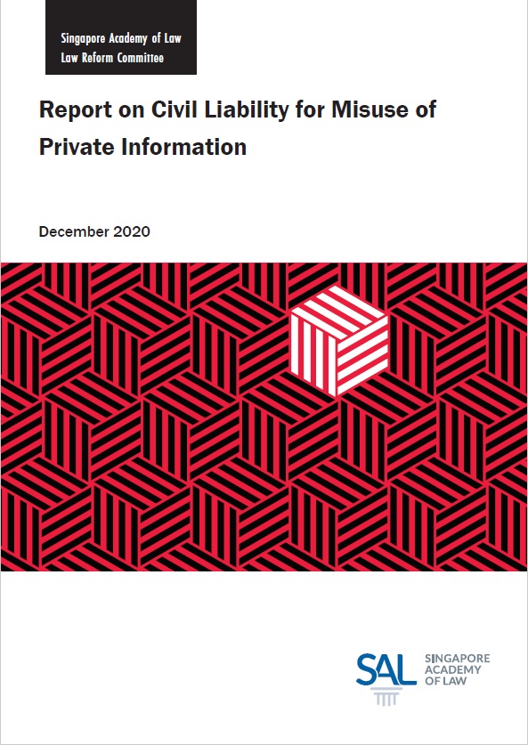 Report on Civil Liability for Misuse of Private Information - Click to View Report