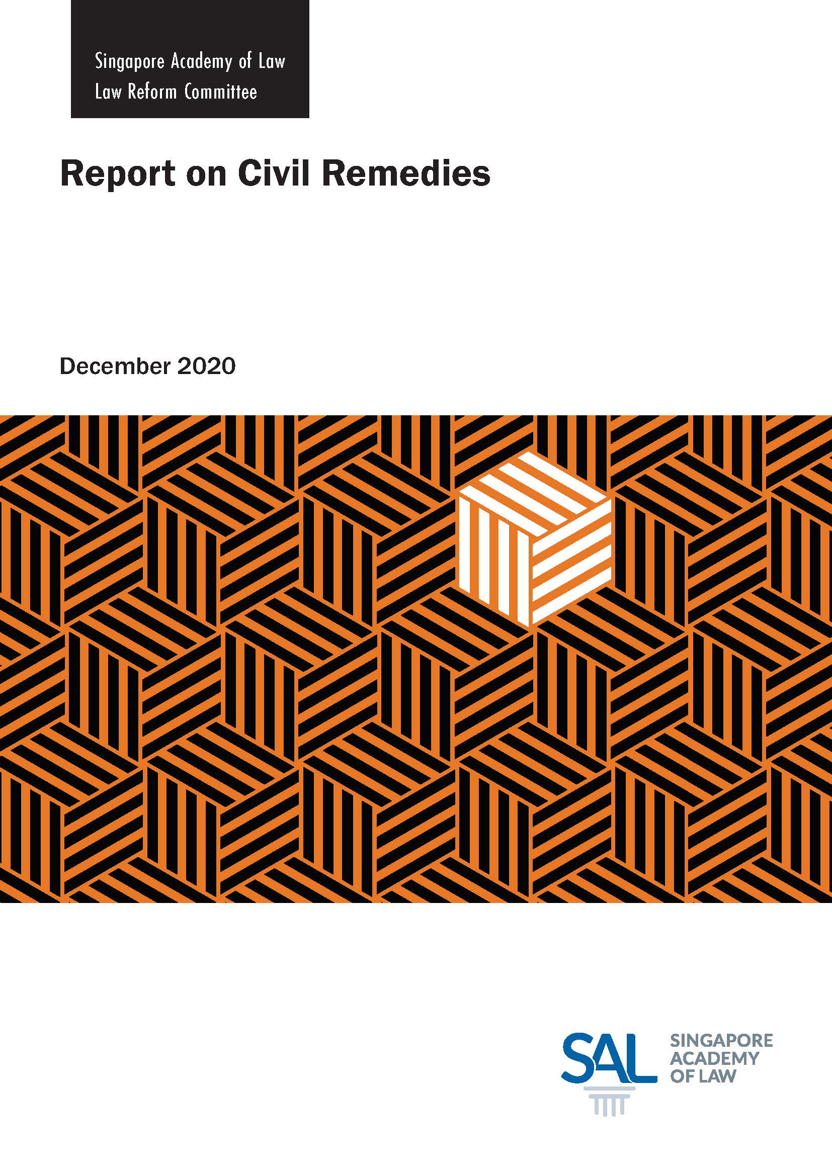 Report on Civil Remedies - Click to view Full Report